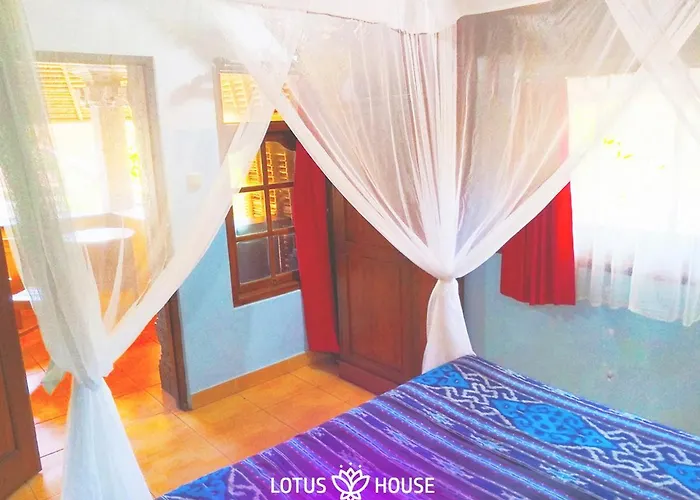 Lotus House *